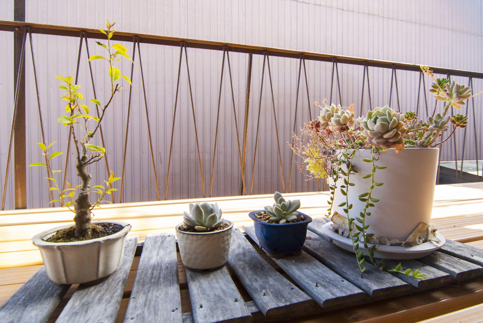 Kyo No Yado Bamboo Town Villa Kyoto Exterior photo